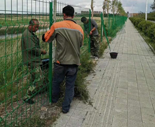 �p߅�z�o(h��)�ھW(w��ng)�r��