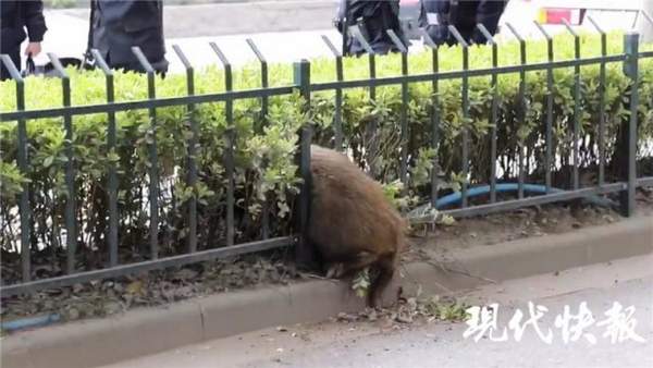 �Ͼ��o(h��)�ھW(w��ng)�r(ji��)��